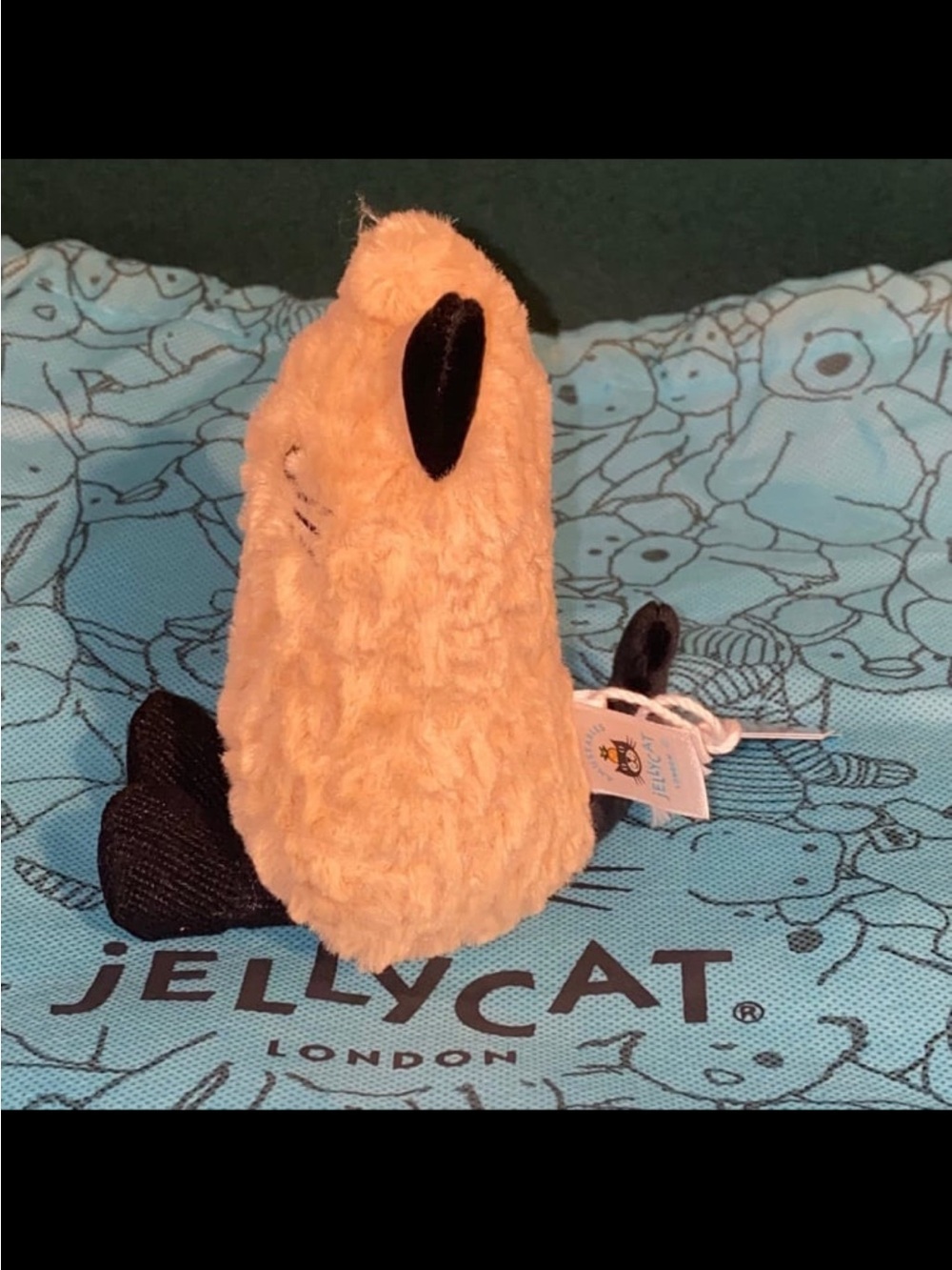 Jellycat Peanut Cat - Picture 4 of 7